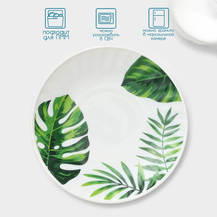 Сервиз столовый &laquo;Лист папоротника&raquo;, 37 предметов, стеклокерамика