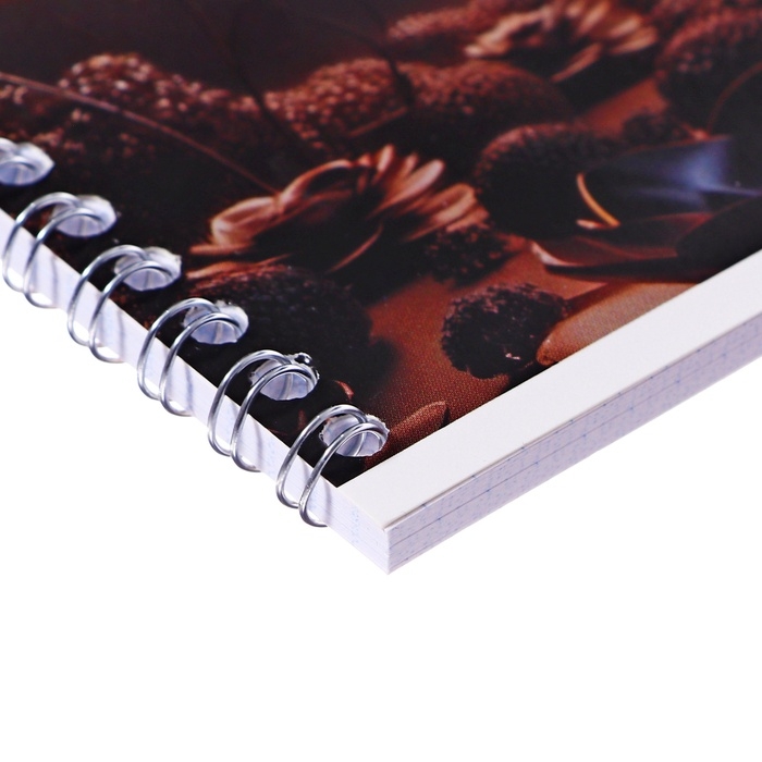 Тетрадь 48 листов в клетку, на гребне, Тетрадь 48 листов в клетку, на гребне, "Доспехи", обложка мелованный картон, МИКС