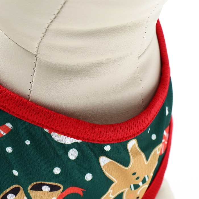 Толстовка Толстовка "Пряня", размер XS (ДС 20, ОШ 20, ОГ 30 см), зелёная