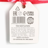 Леденец пельмень &laquo;Новый год: Хочу оливьешку&raquo;, вкус: тутти-фрутти, 22 г.