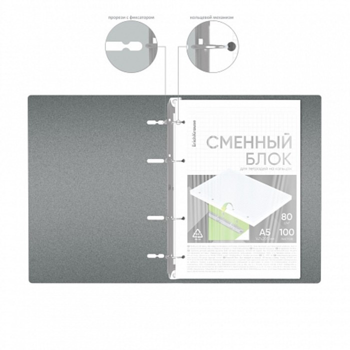 Тетрадь на кольцах, 100 листов в клетку, ErichKrause IQ FineLine Life Style, пластиковая обложка, блок офсет 100% белизна, МИКС