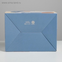 Коробка подарочная сборная, упаковка, «Силуэт», 26 х 19 х 10 см Коробка подарочная сборная, упаковка, «Силуэт», 26 х 19 х 10 см