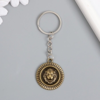 Брелок металл "Лев на щите" МИКС 3,6х3,2х0,3 см Брелок металл "Лев на щите" МИКС 3,6х3,2х0,3 см