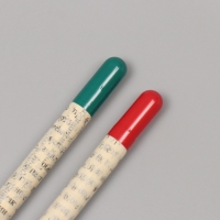 Растущие подарочные карандаши mini "Мята + Паприка" набор 2 шт.