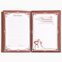 Подарочный набор родословная книга в шкатулке &laquo;Новый год: Дед мороз&raquo;