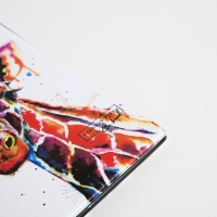 Обложка для паспорта, цвет белый Обложка для паспорта, цвет белый