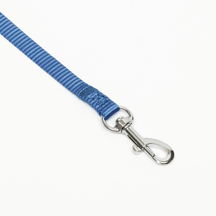 Поводок 120 х 1 см, полиэстер, синий Поводок 120 х 1 см, полиэстер, синий