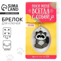 Брелок для ключей акриловый &laquo;Енот&raquo;, 7.2 х 14 см
