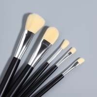 Набор кистей для макияжа, 5 предметов, цвет чёрный Набор кистей для макияжа, 5 предметов, цвет чёрный