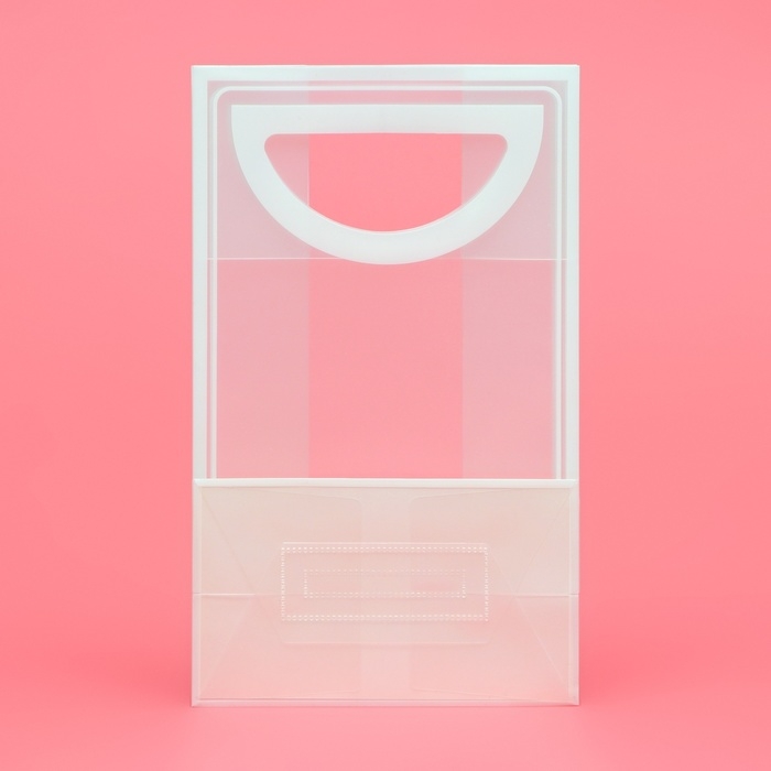 Пакет ПП с вырубной ручкой, прозрачный, 25 х 19 х 9 см, белый