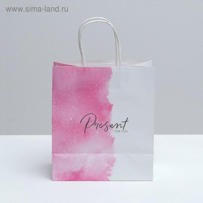 Пакет подарочный крафтовый, упаковка, «Present for you», 22 х 25 х 12 см Пакет подарочный крафтовый, упаковка, «Present for you», 22 х 25 х 12 см