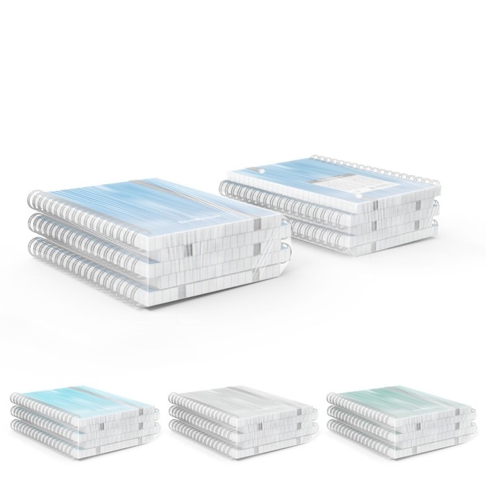 Тетрадь А6 на спирали, 80 листов в клетку, ErichKrause Ice Metallic, пластиковая обложка, на резинке, блок офсет 100% белизна, МИКС Тетрадь А6 на спирали, 80 листов в клетку, ErichKrause Ice Metallic, пластиковая обложка, на резинке, блок офсет 100% белизна, МИКС