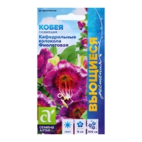 Семена Кобея "Кафедральные колокола", фиолетовая 5 шт. Семена Кобея "Кафедральные колокола", фиолетовая 5 шт.