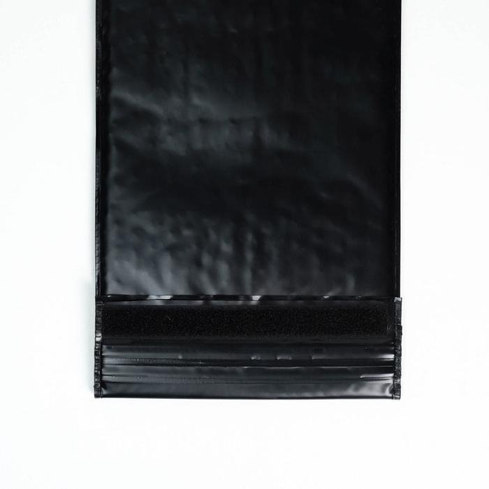 Пакет подарочный под бутылку, упаковка, &laquo;Истина в вине&raquo;, 18,8 х 56,3 см