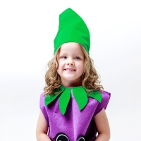 Карнавальный набор &laquo;Крутой баклажан&raquo;, фетр