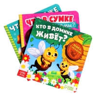 Картонные книги с окошками «Что внутри?», набор 3 шт. по 12 стр. Картонные книги с окошками «Что внутри?», набор 3 шт. по 12 стр.