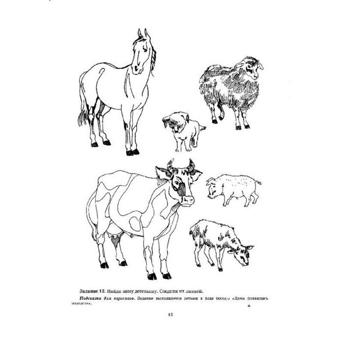 Рабочая тетрадь &laquo;Добро пожаловать в экологию!&raquo;, для детей 4-5 лет, средняя группа, часть 2, Воронкевич О. А.