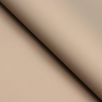 Пленка для цветов тонированная, матовая, серый, 0,5 х 10 м, 65 мкм Пленка для цветов тонированная, матовая, серый, 0,5 х 10 м, 65 мкм