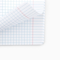 Тетрадь в клетку, 48 листов А5 на скрепке , внутренний блок №1 МИКС &laquo;1 сентября: Мотивационные&raquo; Мат. лам, тиснение