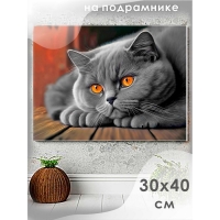 Алмазная мозаика &laquo;Британец&raquo;, 30 &times; 40 см, на подрамнике