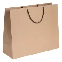 Пакет бумажный &laquo;Крафт&raquo;, L, неокрашенный