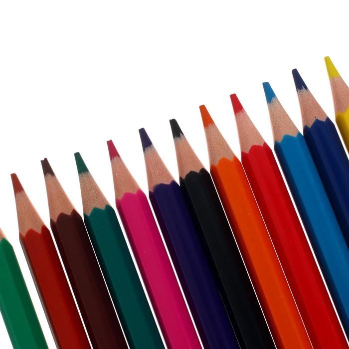 Карандаши цветные, 12 цветов, Mate, пластиковые, с европодвесом Карандаши цветные, 12 цветов, Mate, пластиковые, с европодвесом