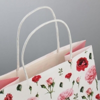 Пакет подарочный крафт, упаковка, &laquo;Мечтай!&raquo;, 22 х 25 х 12 см