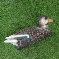 Фигура подсадная "Кряква черная" селезень, 36х15х16см Фигура подсадная "Кряква черная" селезень, 36х15х16см