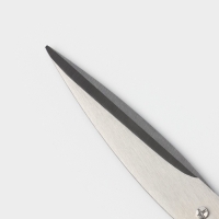 Ножницы кухонные Доляна &laquo;Помощник&raquo;, 19 см, цвет зелёный