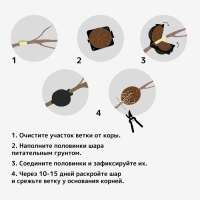 Шар для укоренения растений, d = 8 см, под ветку 1 см, чёрный , Greengo