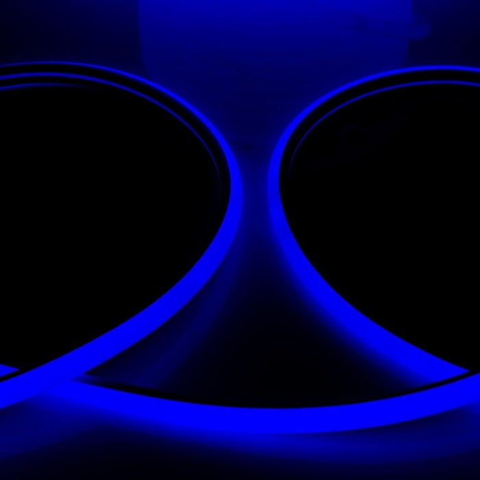 Гибкий неон Luazon Lighting 16 мм D-образный, IP65, 50 м, SMD2835, 120 LED/м, 220 В, свечение синее Гибкий неон Luazon Lighting 16 мм D-образный, IP65, 50 м, SMD2835, 120 LED/м, 220 В, свечение синее