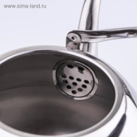 Чайник для плиты из нержавеющей стали Orchid, 4 л, цвет серебряный