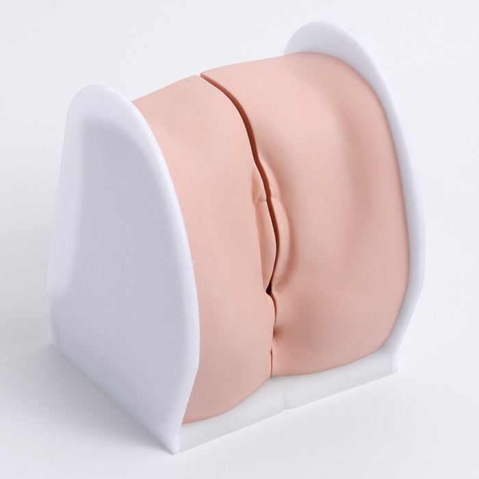 Макет Макет "Вагина" разборный 19*13*17см