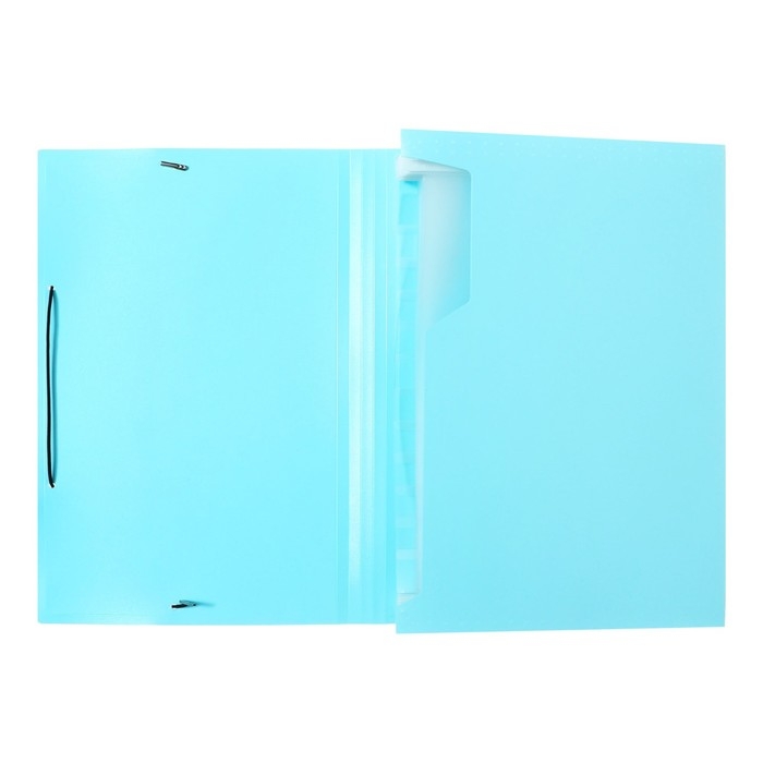 Папка картотека А4, Calligrata "Акварель", 13 отделений, пластиковая, 700 мкм, бирюзовая, резинка чёрная