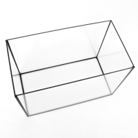 Аквариум "Прямоугольный" без крышки, 50 литров, 51 х 27 х 35 см