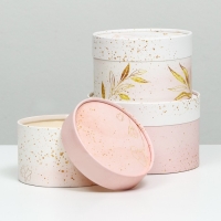 Набор шляпных коробок 3 в 1 "Нежность", завальцованная, 16 х 10, 14 х 9, 13 х 8,5 см Набор шляпных коробок 3 в 1 "Нежность", завальцованная, 16 х 10, 14 х 9, 13 х 8,5 см