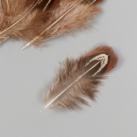 Перо декоративное фазана "Рябь. Коричневая" набор 20 шт h=5-7 см Перо декоративное фазана "Рябь. Коричневая" набор 20 шт h=5-7 см