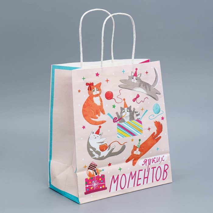 Пакет подарочный крафтовый, упаковка, &laquo;Вечеринка&raquo;, 22 х 25 х 12 см