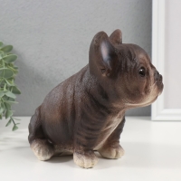 Копилка "Щенок Французского бульдога" 16,5 х 11,5 х 18 см. Копилка "Щенок Французского бульдога" 16,5 х 11,5 х 18 см.