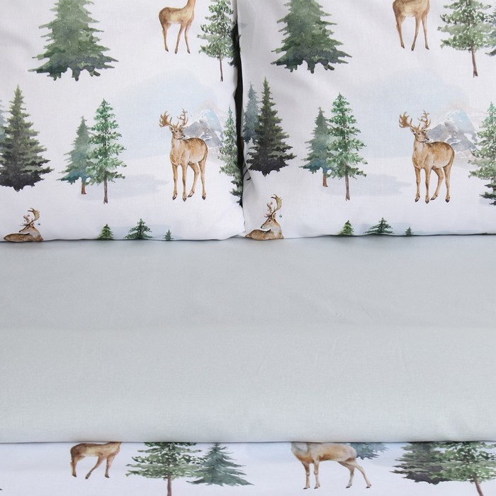 Постельное бельё &laquo;Этель&raquo; дуэт &laquo;Однажды в лесу&raquo; 143х215 см 2 шт,220х240 см,70х70 см 2 шт, поплин