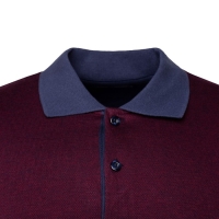 Поло мужское с длинным рукавом, цвет бордовый, размер 44 (S)