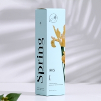 Диффузор ароматический,  "Iris", ирис, 100 мл