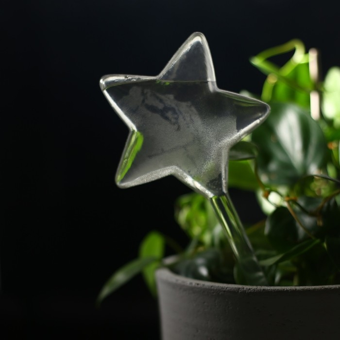 Автополив для комнатных растений, ПВХ, &laquo;Звезда&raquo;, 100 мл, Greengo