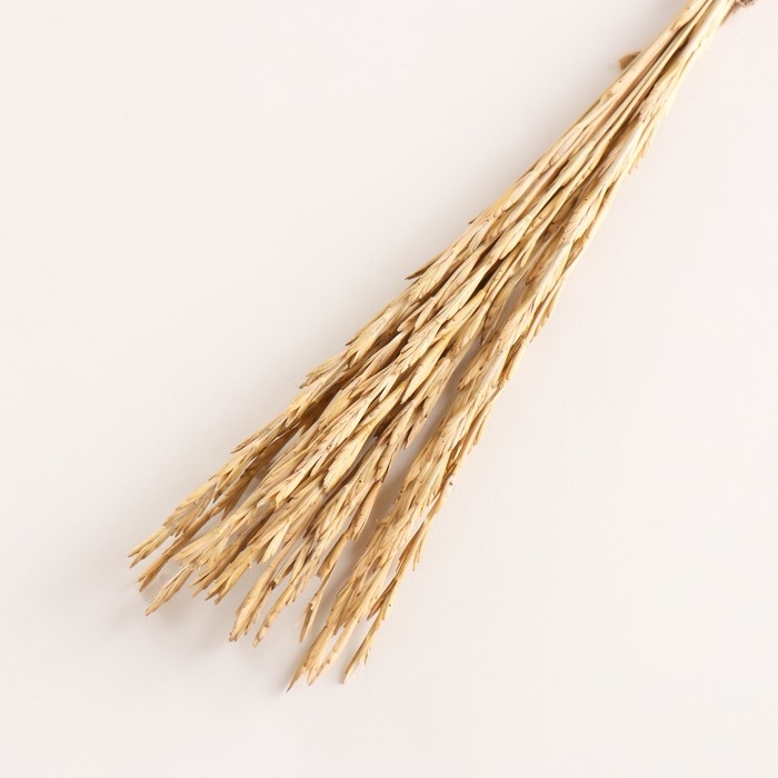 Набор сухоцветов "Райграс", банч 21 шт, длина 60 (+/- 6 см), натуральный