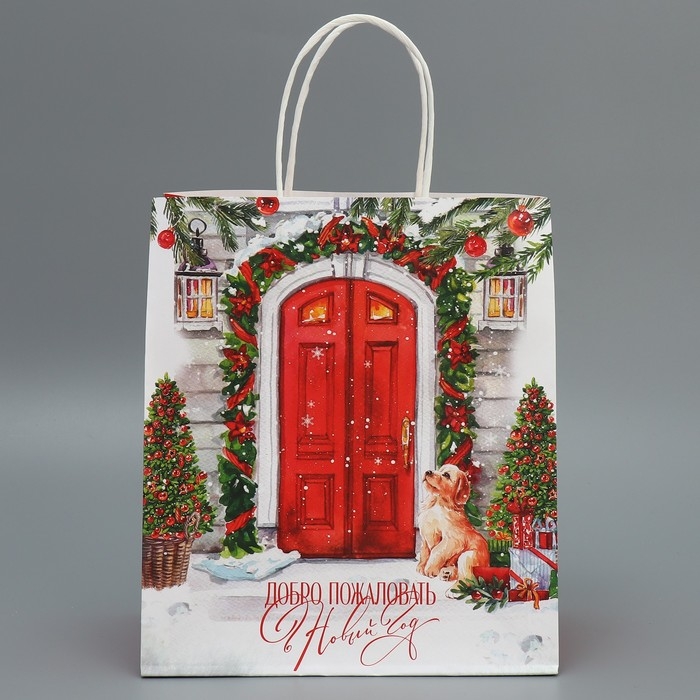 Пакет подарочный новогодний крафтовый &laquo;Добро пожаловать&raquo;, 22 х 25 х 12 см, Новый год