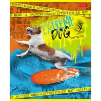 Тетрадь 40 листов, в клетку "Собачий драйв", обложка мелованный картон, блок офсет 65г/м2, 5 видов