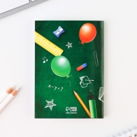 Подарочный набор на выпускной &laquo;Больших успехов на пути&raquo; блокнот,ластик, 2 карандаша HB, значок, линейка