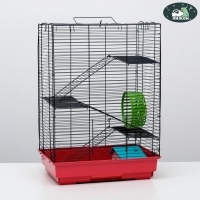 Клетка для грызунов "Пижон" №5, с 3 этажами, укомплектованная, 41 х 30 х 58 см, рубиновая Клетка для грызунов "Пижон" №5, с 3 этажами, укомплектованная, 41 х 30 х 58 см, рубиновая