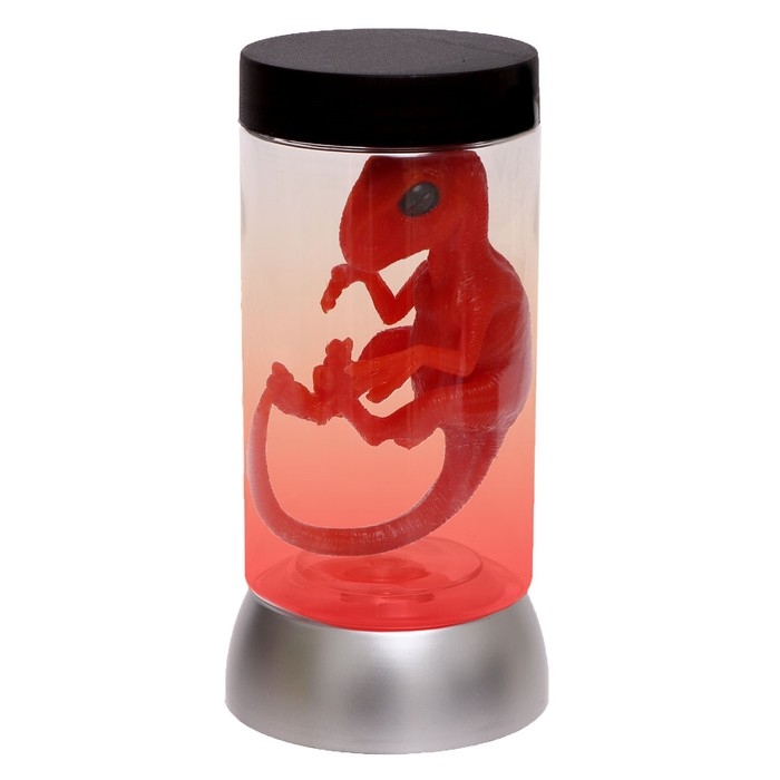 Ночник «Диномир», цвета МИКС Ночник «Диномир», цвета МИКС