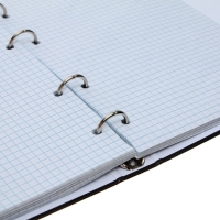 Тетрадь на кольцах A5 160 листов в клетку Calligrata "MonoTone", обложка 7БЦ, без вырубки под кольца, блок офсет Тетрадь на кольцах A5 160 листов в клетку Calligrata "MonoTone", обложка 7БЦ, без вырубки под кольца, блок офсет